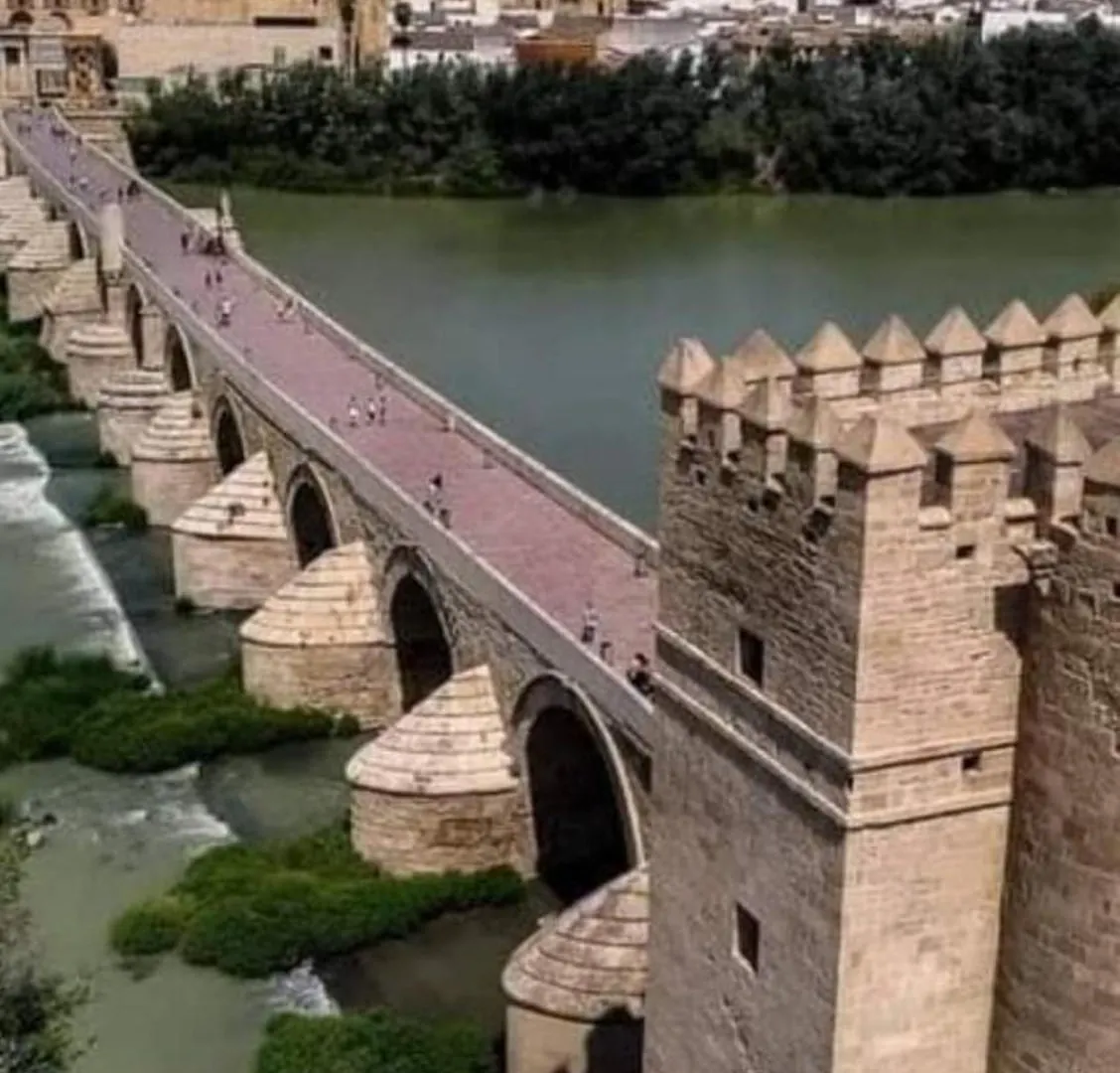 Apartment Precioso Loft El Arcangel Junto A La Ribera Cordoba Spain
